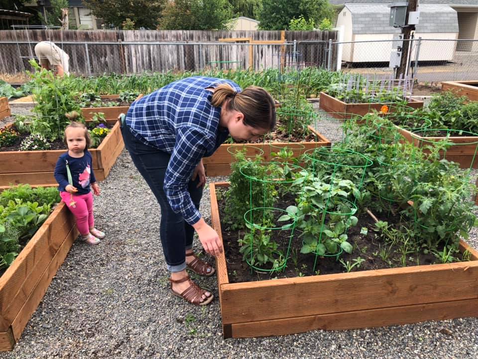 Community Garden – New Ground Alliance Church